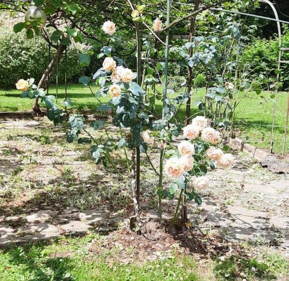 호텔 Hostellerie De La Roseraie