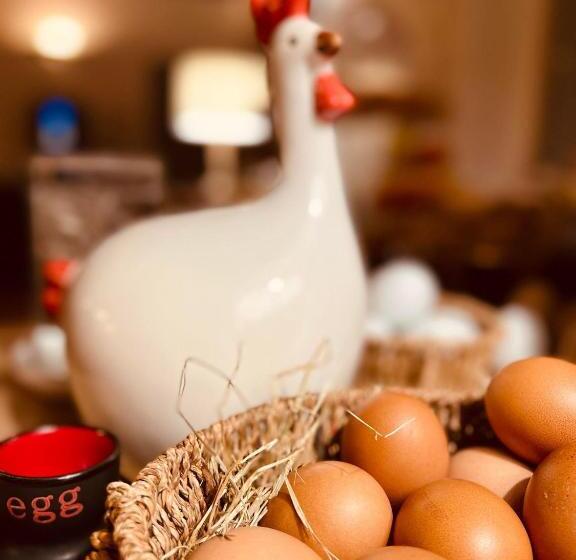 酒店 Hôtel Les Vieilles Tours Rocamadour