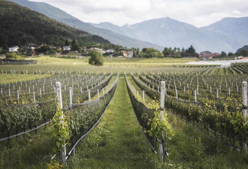 בית מלון כפרי Ideal