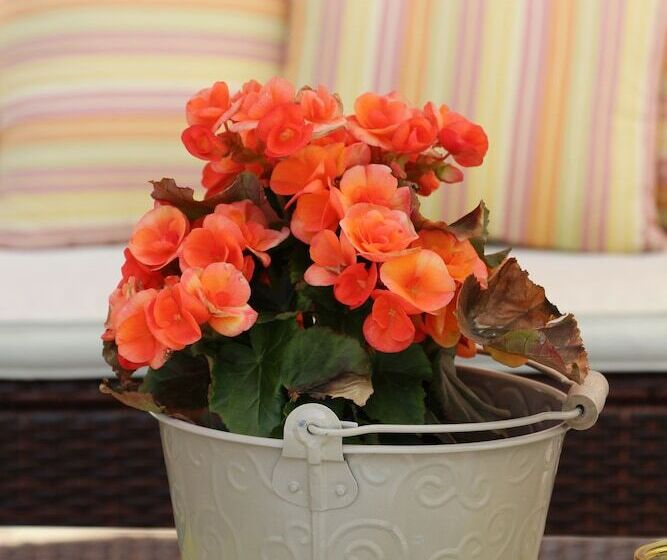 בית מלון כפרי La Fontana