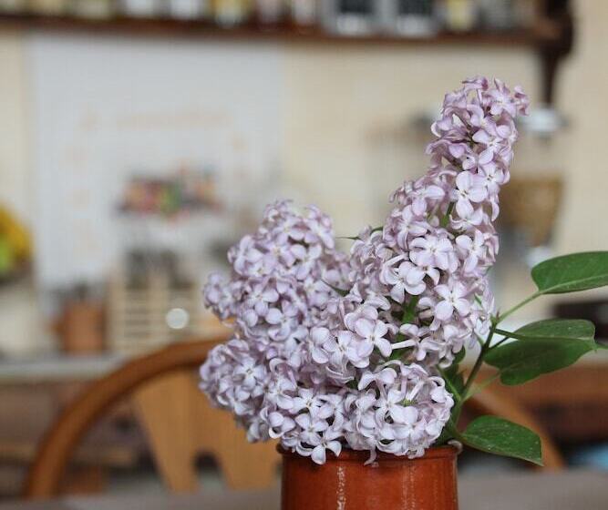 בית מלון כפרי La Fontana