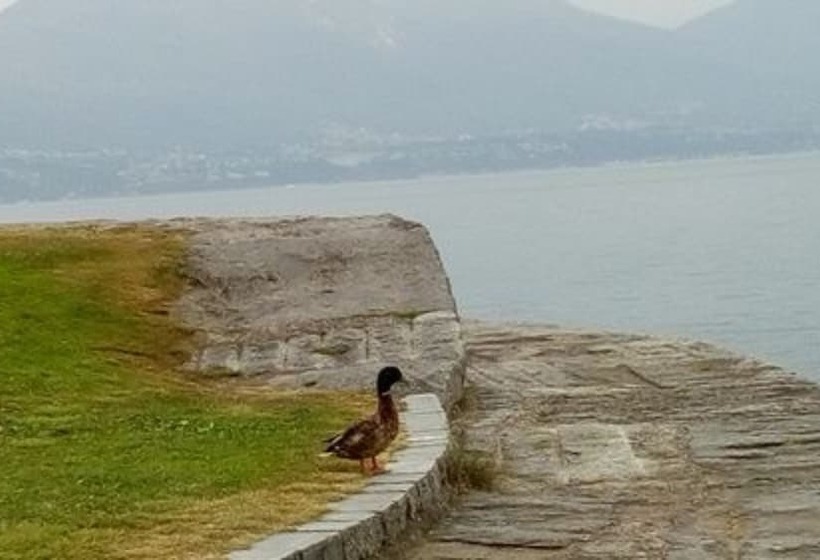 호텔 La Rondinella