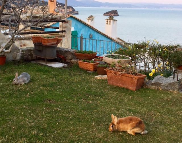 בית מלון כפרי Paradiso Di Manù