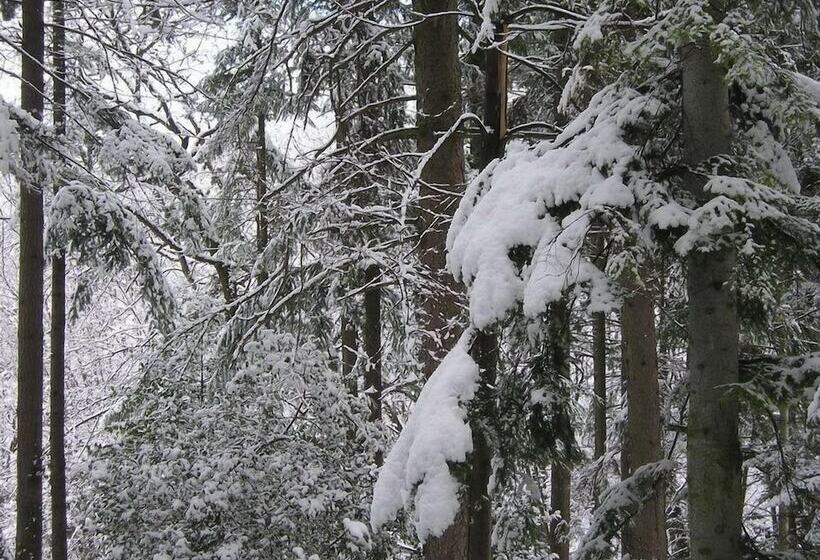 ホテル Relais Il Trebbiolo