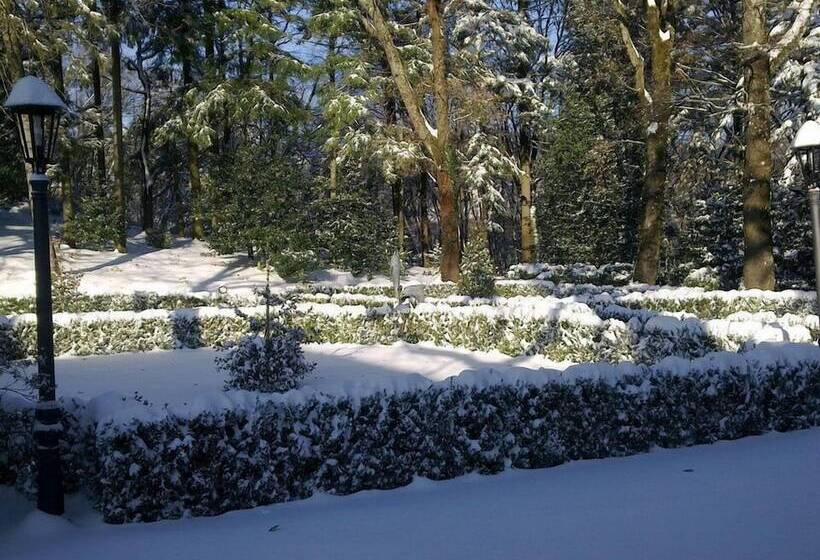 ホテル Relais Il Trebbiolo