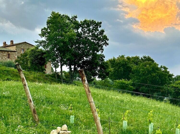 בית מלון כפרי Lachiusa Tuscany