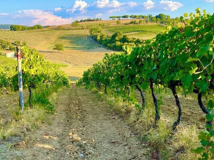 בית מלון כפרי Lachiusa Tuscany