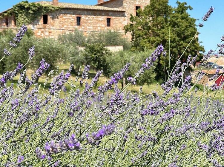 בית מלון כפרי Lachiusa Tuscany