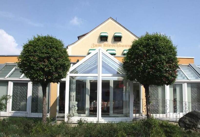 Отель Restaurant Zum Kirschbaum
