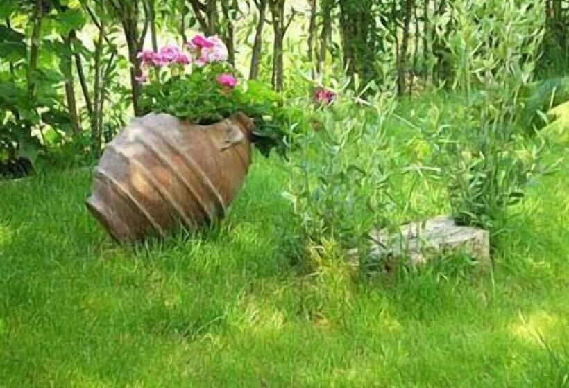 בית מלון כפרי Souris