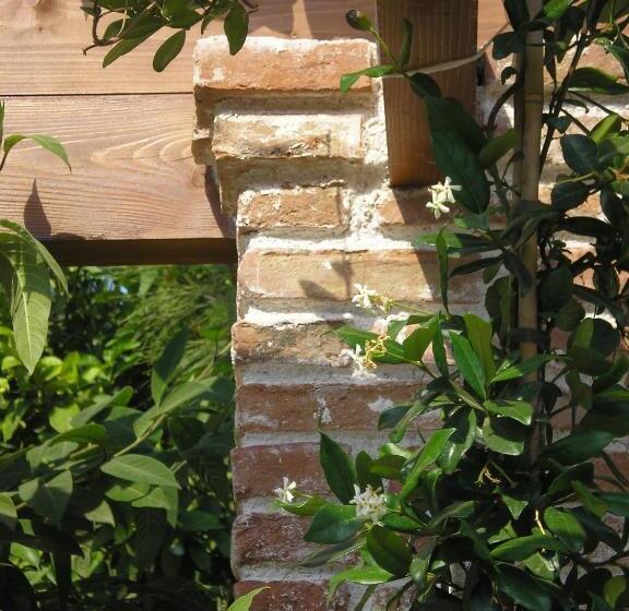 בית מלון כפרי Souris