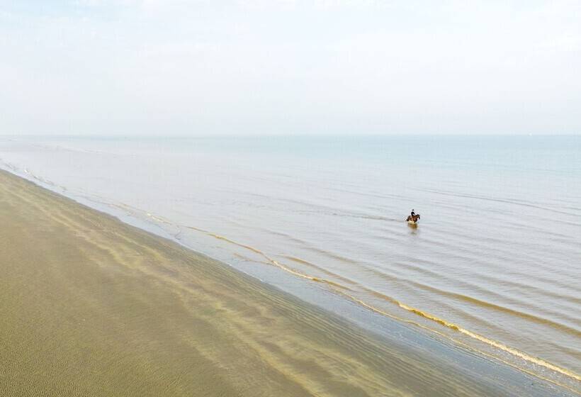 호텔 De Zeevijver Oostduinkerke
