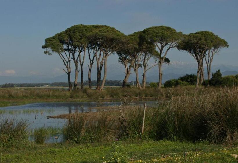 酒店 Verde Al Mare Boutique