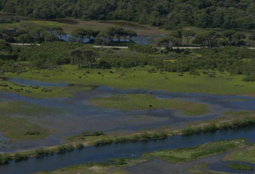 酒店 Verde Al Mare Boutique