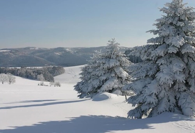 Waldhotel Kreuztanne