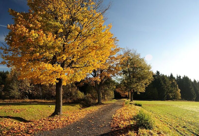 Waldhotel Kreuztanne