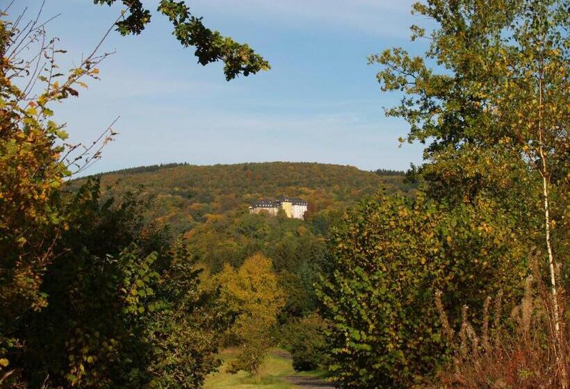 호텔 Zum Weißen Stein