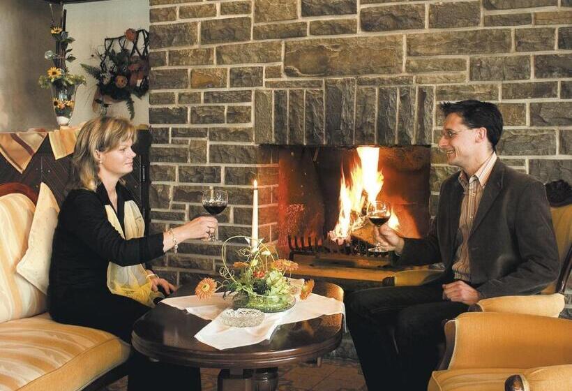 호텔 Zum Weißen Stein