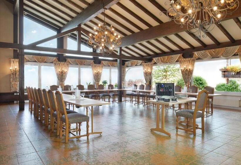 호텔 Zum Weißen Stein