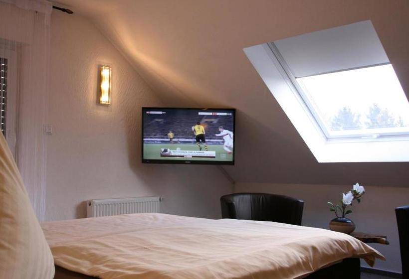 호텔 Zur Wasserburg