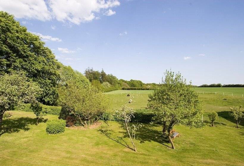 Munkebjerg Bed & Breakfast