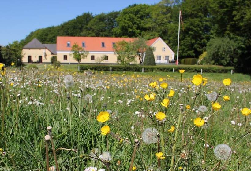 Munkebjerg Bed & Breakfast