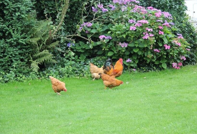 Munkebjerg Bed & Breakfast