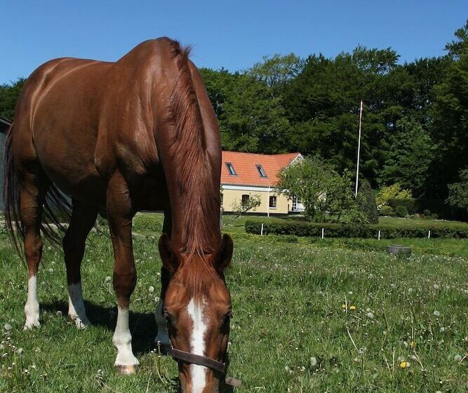 Munkebjerg Bed & Breakfast