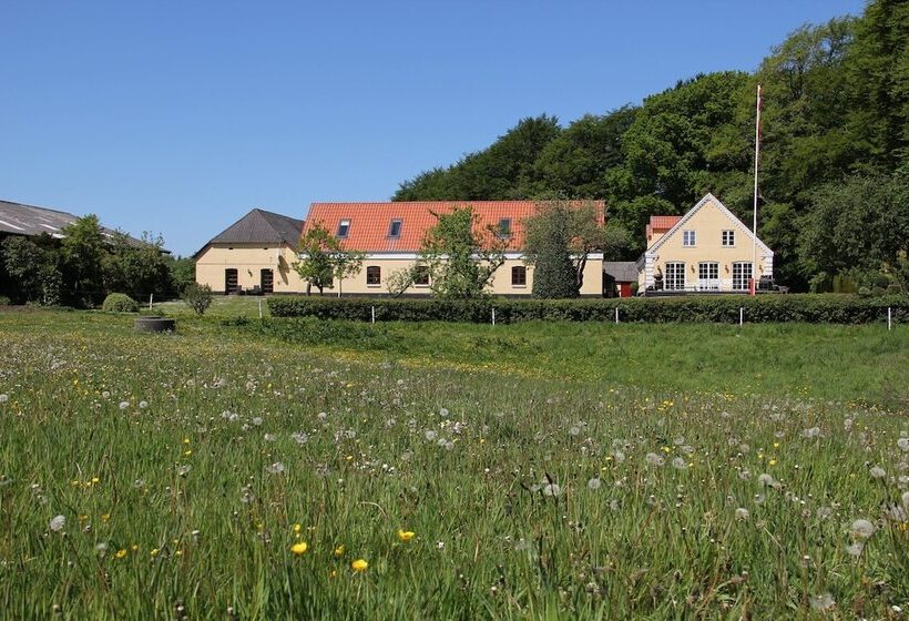 Munkebjerg Bed & Breakfast