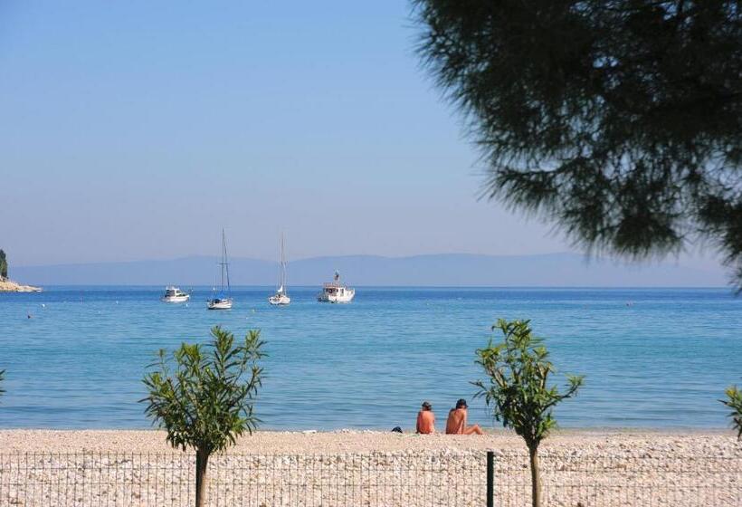 Narcis   Maslinica Hotels & Resorts