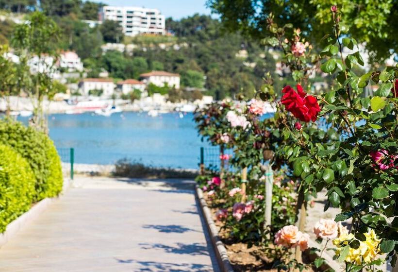 Narcis   Maslinica Hotels & Resorts