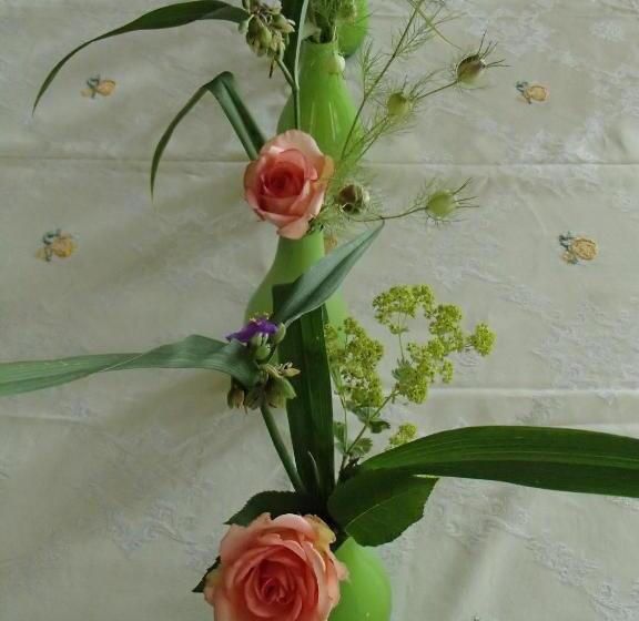 פנסיון Apfelblüte Bed & Breakfast 8 Km Vom Bodensee