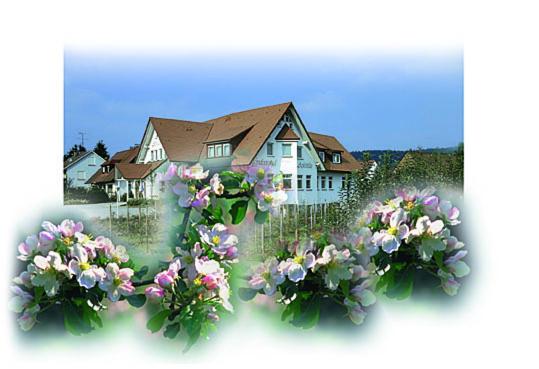 פנסיון Apfelblüte Bed & Breakfast 8 Km Vom Bodensee