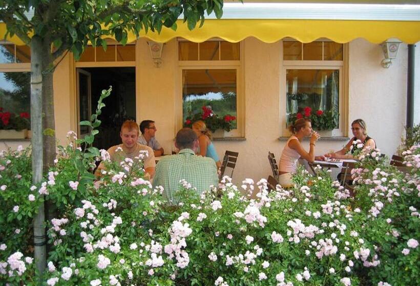 פנסיון Apfelblüte Bed & Breakfast 8 Km Vom Bodensee