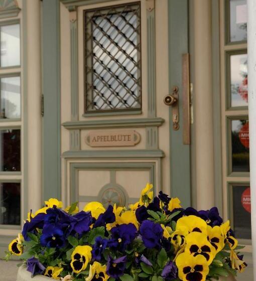 פנסיון Apfelblüte Bed & Breakfast 8 Km Vom Bodensee