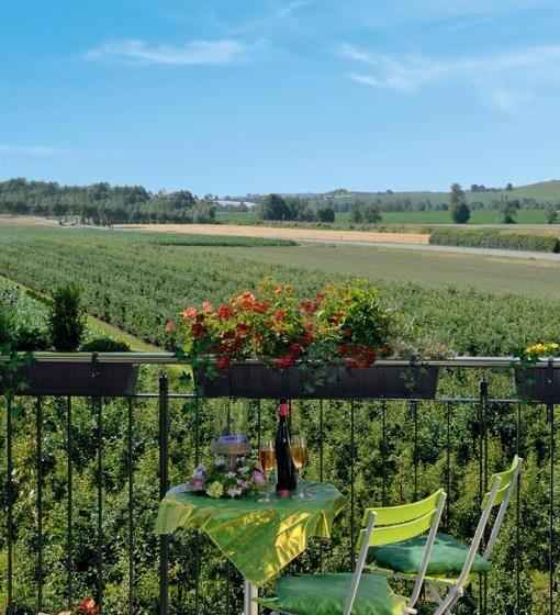 פנסיון Apfelblüte Bed & Breakfast 8 Km Vom Bodensee