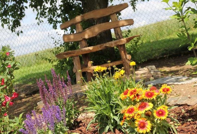 بنسيون Landgasthof Gemmer