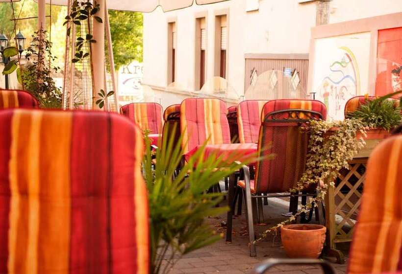 펜션 Neubert`s Gasthaus Am Rhein