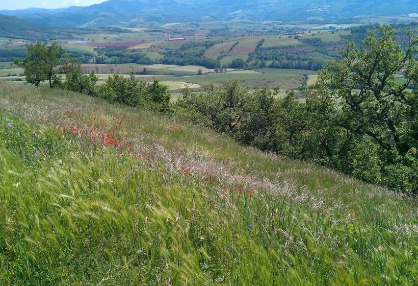 Residence Du Rougier