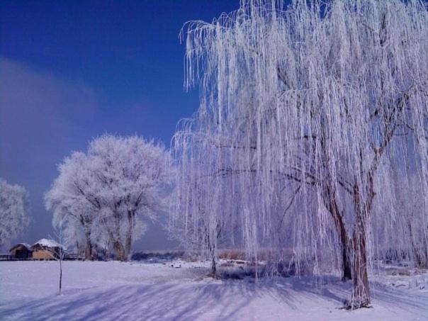 Villa Del Lago Boutique