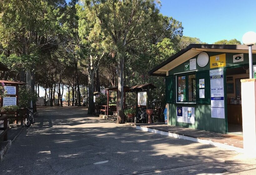 Villaggio Camping Lungomare