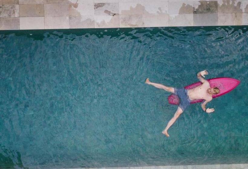 호스텔 Blind Dog Inn