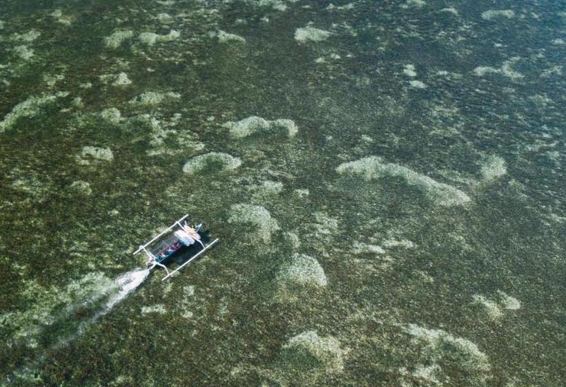 호스텔 Blind Dog Inn