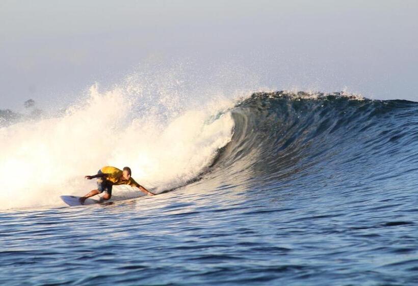 호스텔 Blind Dog Inn