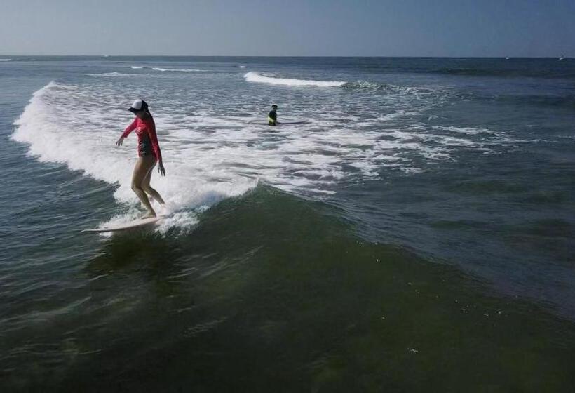 호스텔 Blind Dog Inn