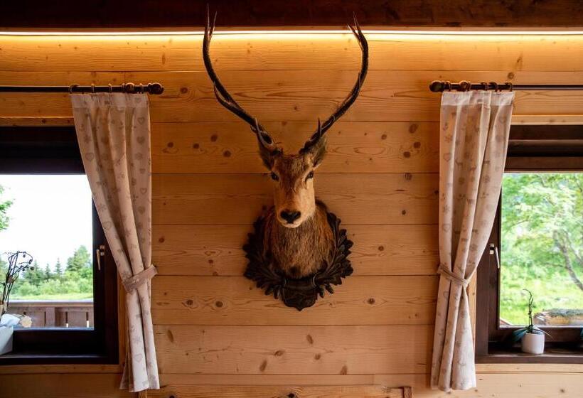 ベッドアンドブレックファースト Baita Da Rico Zoncolan