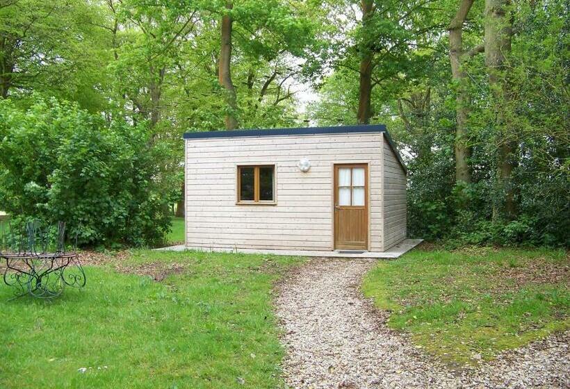 Bed and Breakfast Hebergements Insolites   Etretat Aventure