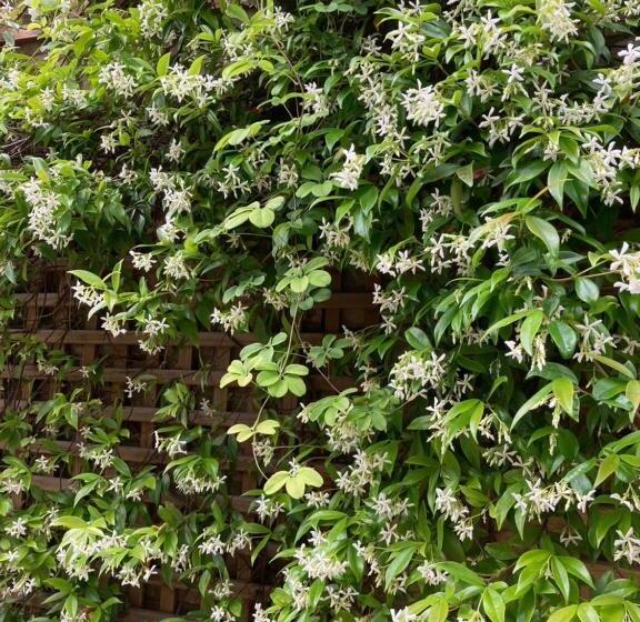 ベッドアンドブレックファースト Le Mascaret