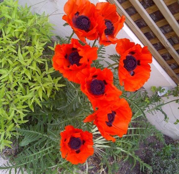 ベッドアンドブレックファースト Le Mascaret