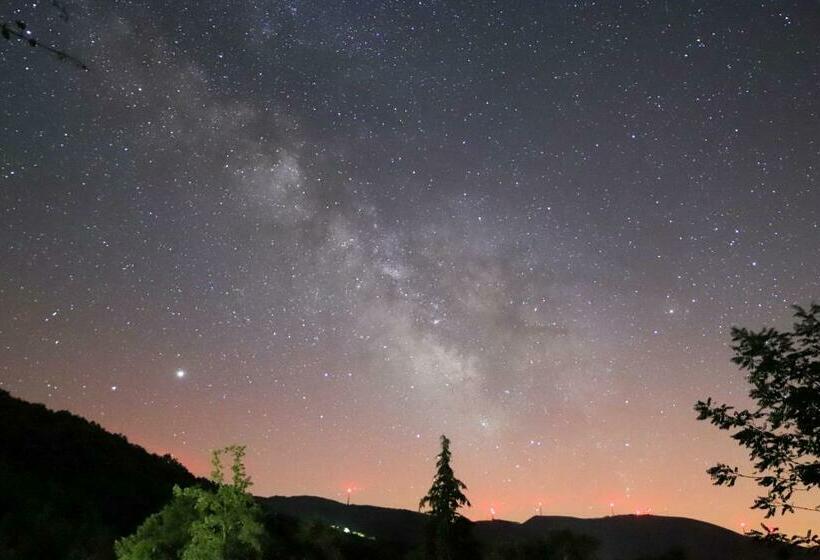 ベッドアンドブレックファースト Oficina Do Joe Guesthouse